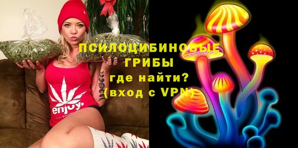 прущая мука Алзамай