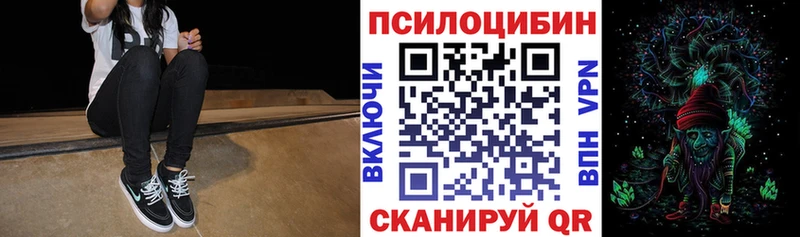 Псилоцибиновые грибы Cubensis Черкесск