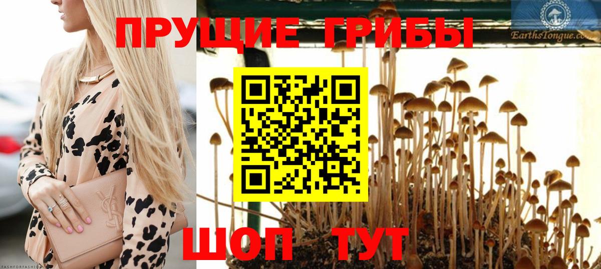 Галлюциногенные грибы Magic Shrooms  где можно купить наркотик  Черкесск  Вход с VPN 